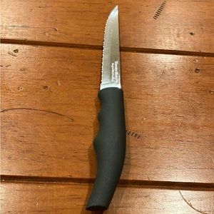 Forever Sharp Knife